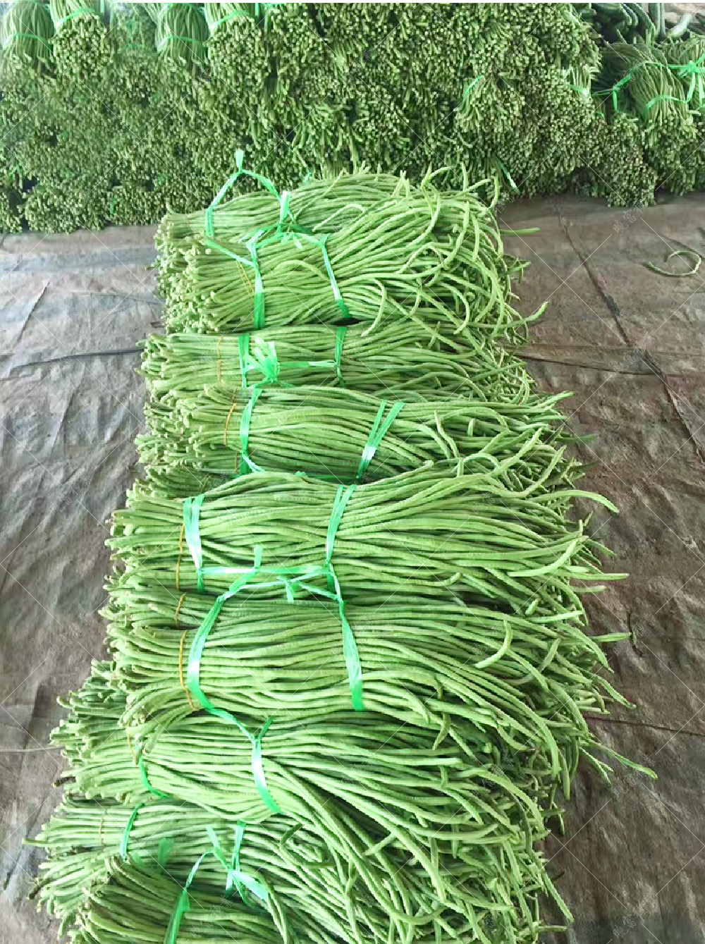 1557910769901009.jpg 51.jpg