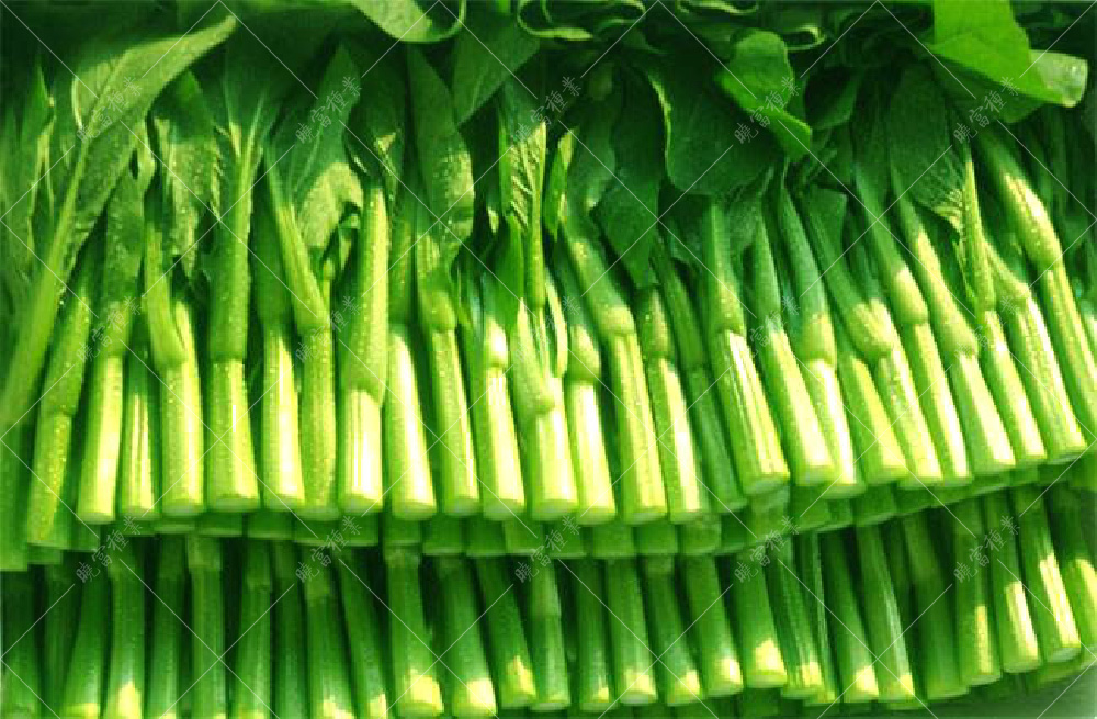 1558596940378884.jpg timg (1).jpg