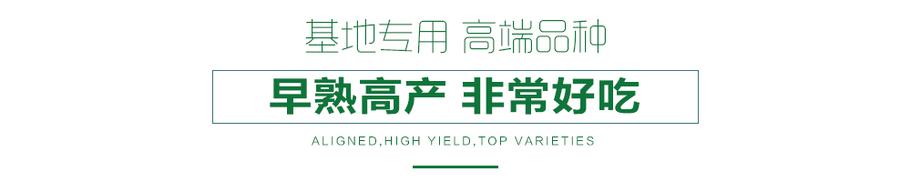 1558596946501815.jpg 詳情頁(yè)7.jpg