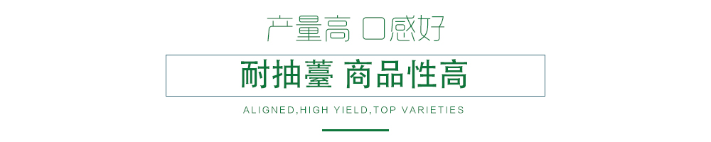 1585789494154241.jpg 03.jpg