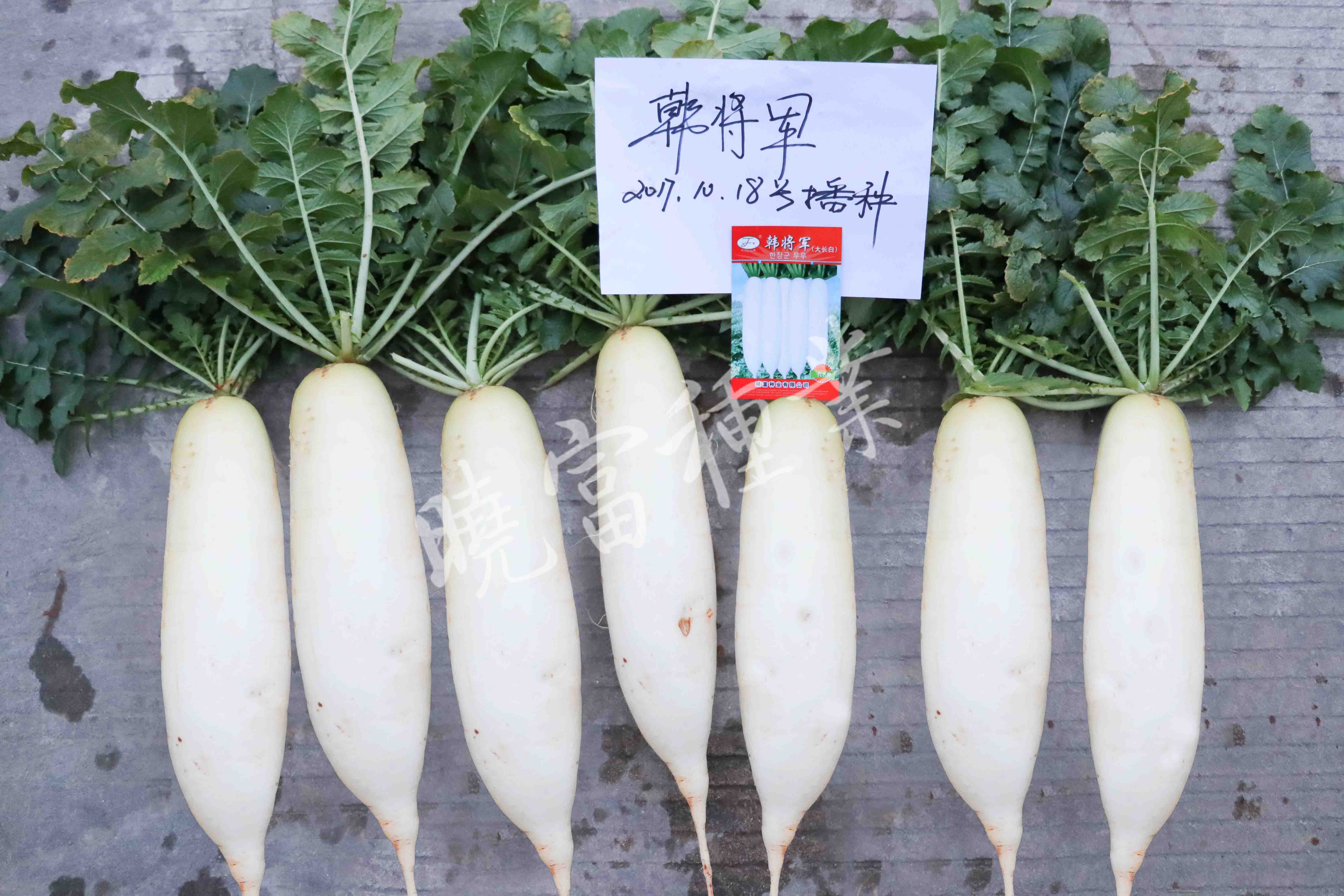 1585789520910192.jpg 08.jpg