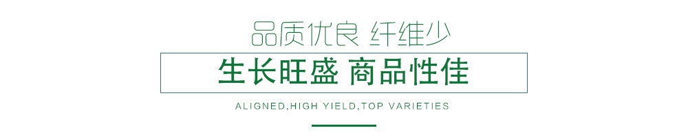 1585790191299905.jpg 07.jpg