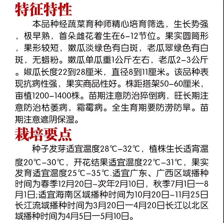 1585992723812602.jpg 10.jpg