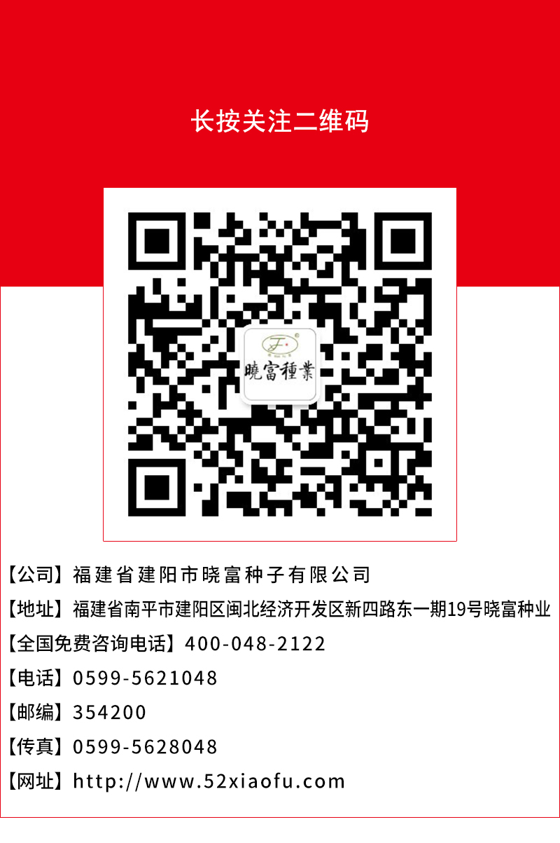 1602036895246701.jpg 頁(yè)底.jpg